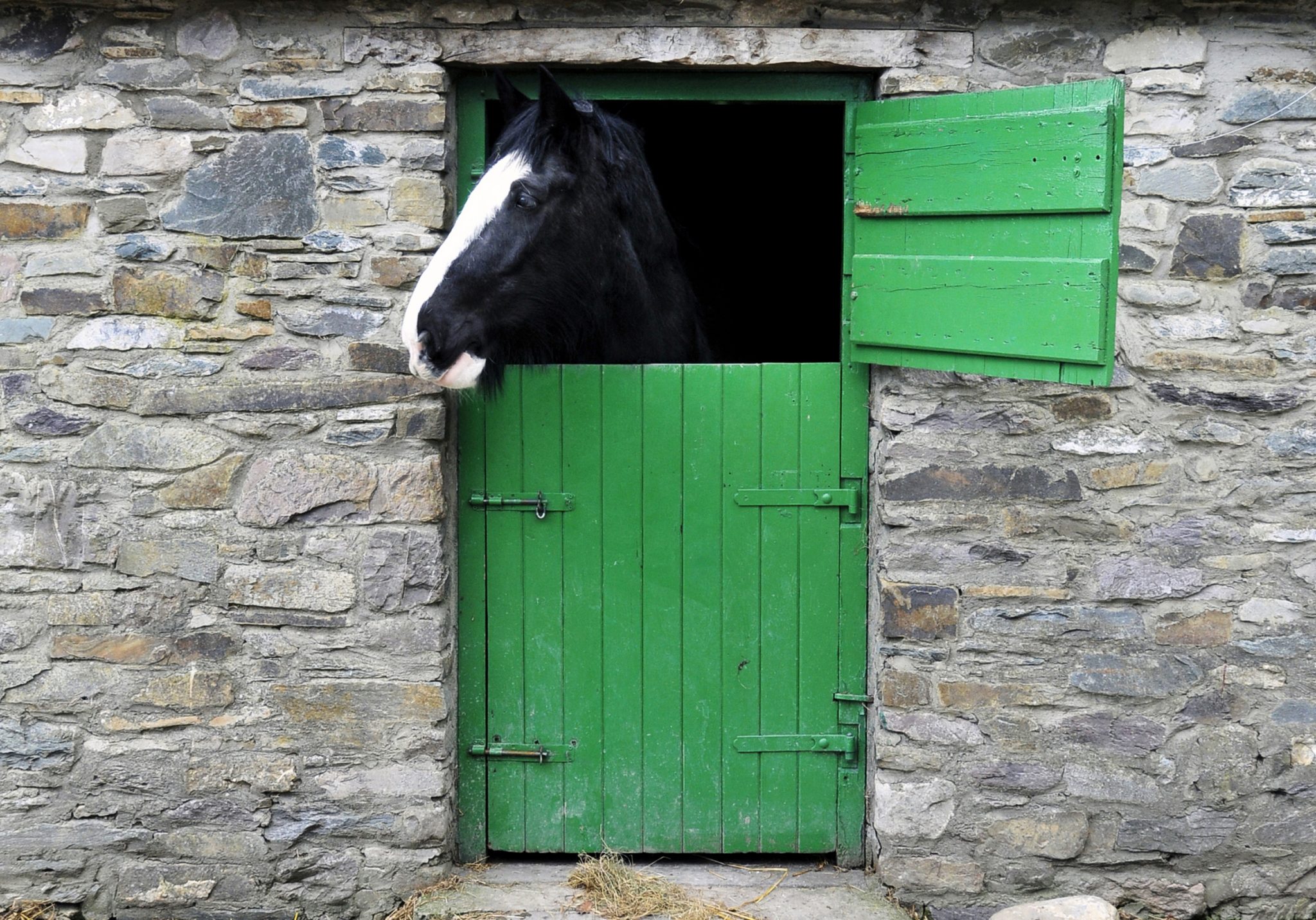 horse-riding-killarney-ireland-ring-of-kerry-irish-horses