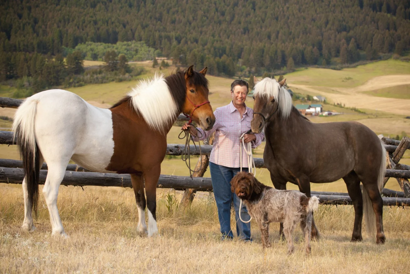 A person stands with two horses and a dog in a field, with a wooden fence and forested hills in the background.