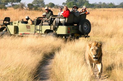 Botswana Wing Safari: What Adventure Women Are Saying