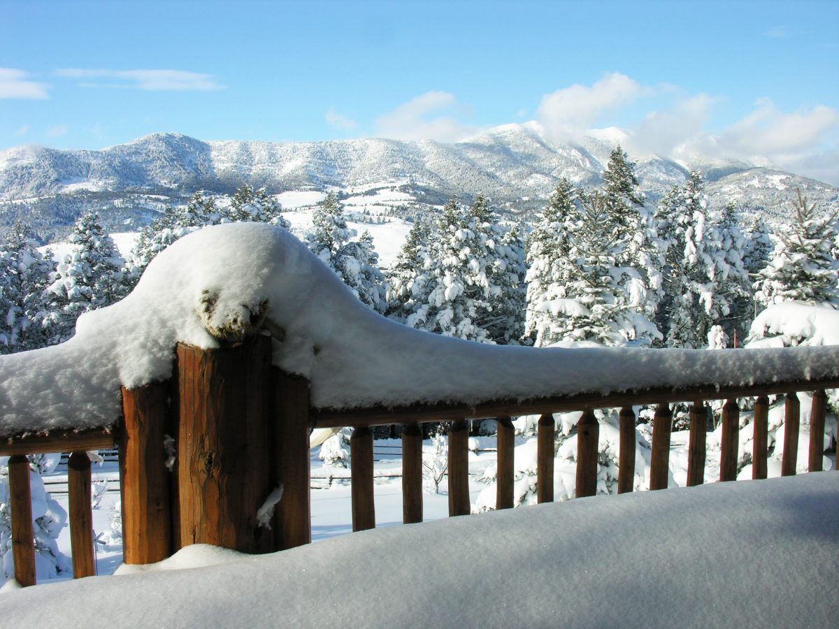 View from headquarters in winter