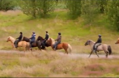 Watch the Video: Horseback Riding in Iceland 2011 (Cyd Pearl)