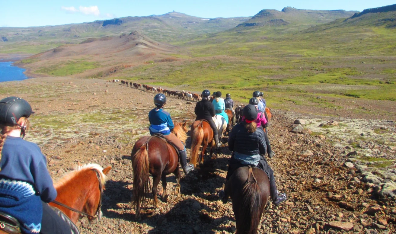 A group of people on horseback ride along a rocky trail in a vast mountainous landscape.