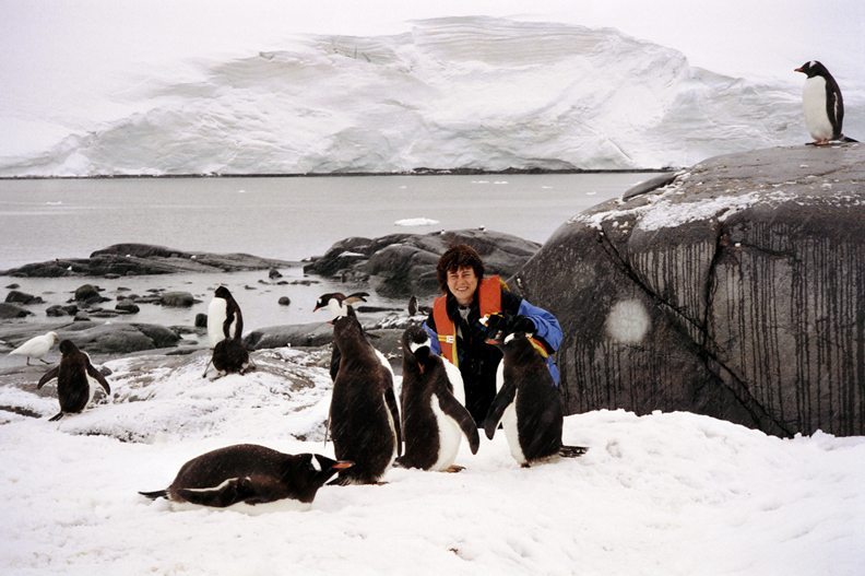 2. Antarctica with penguins - 2