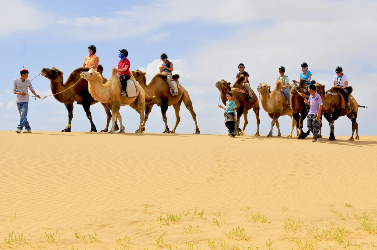 A line of people rides camels through a sandy desert, led by two guides. Some greenery is visible in the foreground.