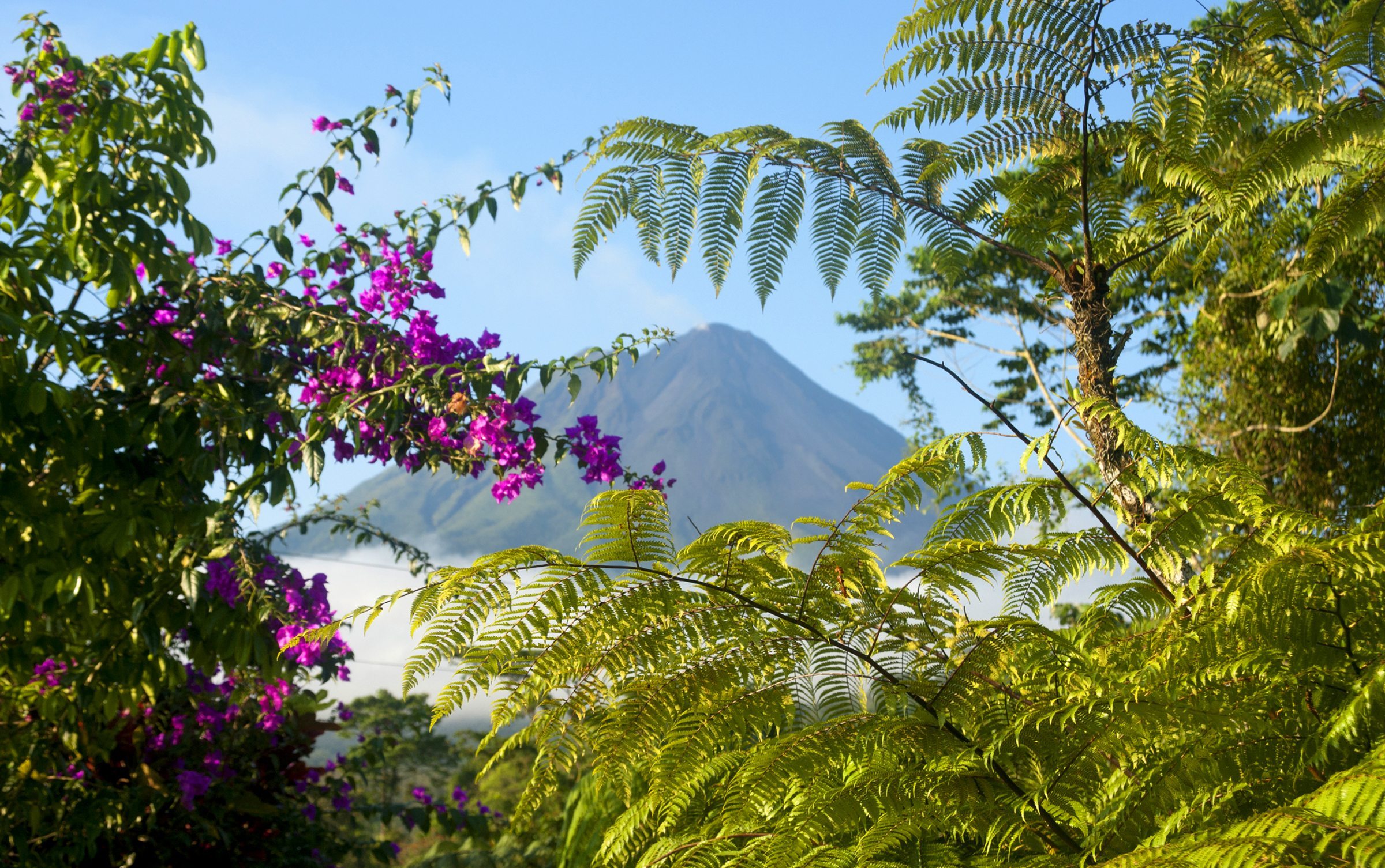 Fun Facts About Costa Rica: Did You Know?