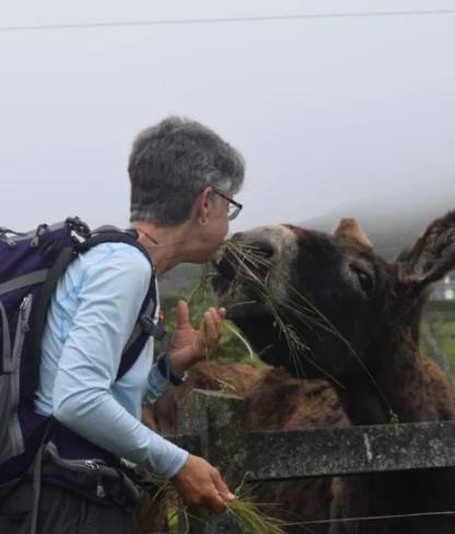 A person with short gray hair and a backpack feeds grass to a donkey over a fence on a foggy hillside.