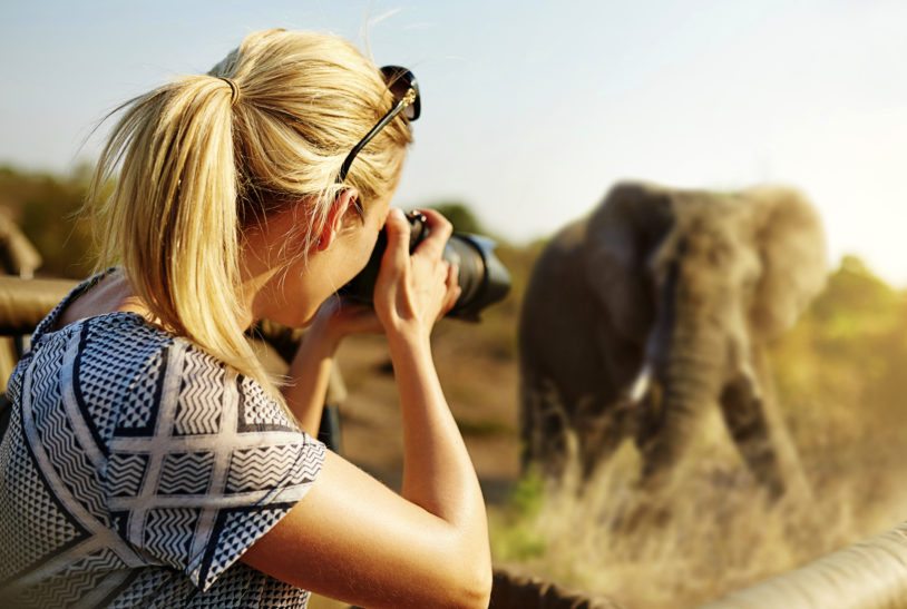 Classic safari on women's trip to Botswana
