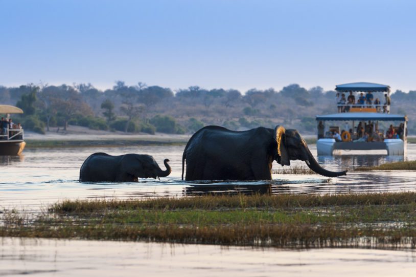 Wildlife sunset cruise on women's safari trip to Botswana