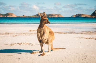 Amazing Australia: Did You Know?