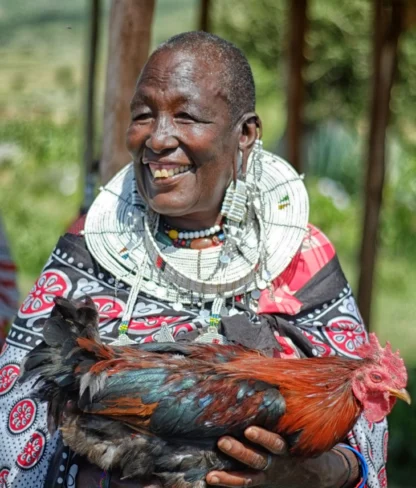 A person wearing traditional attire is smiling and holding a rooster while standing outside near wooden beams.