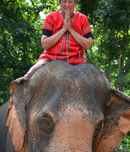 Person sitting on an elephant, wearing a red shirt, with hands together in a gesture of greeting, surrounded by green trees.