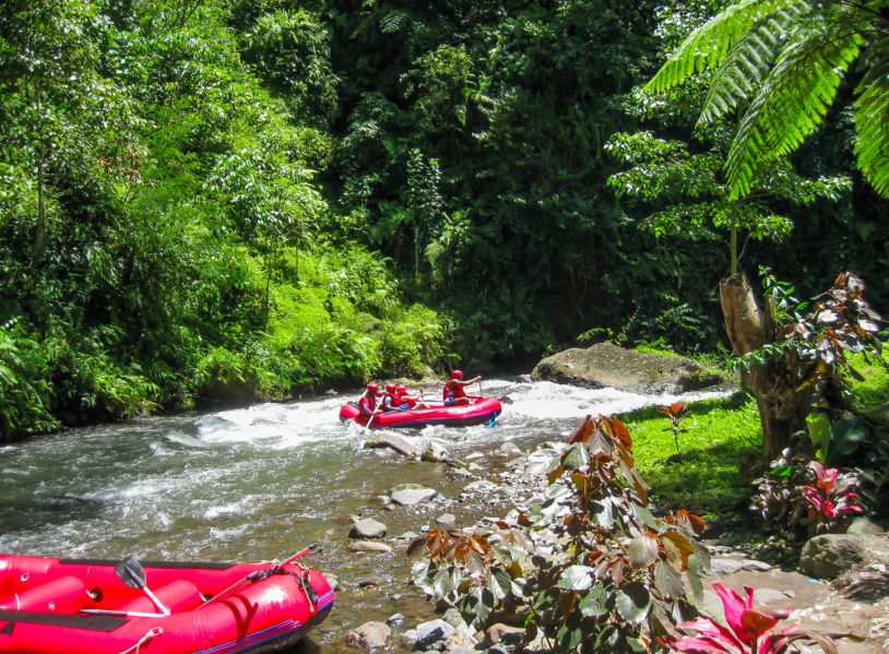 Rafting in the canyon on Balis mountain river Ayung at Indonesia