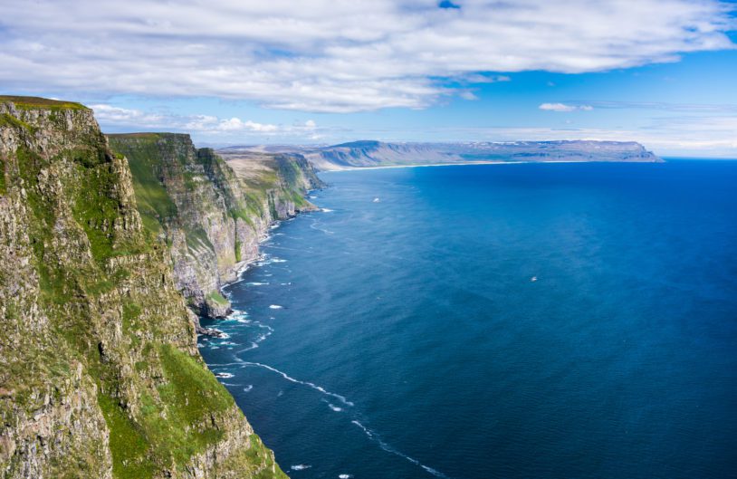 Stunning Latrabjarg cliffs, Europe's largest bird cliff and home to millions of birds, including puffins, northern gannets, guillemots and razorbills. Western Fjords of Iceland