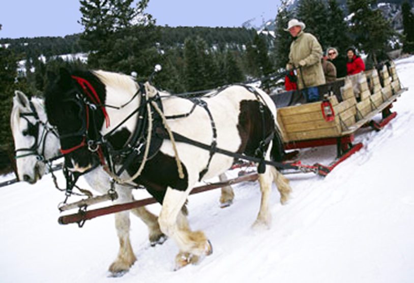 Horse drawn sleigh ride in Yellowstone