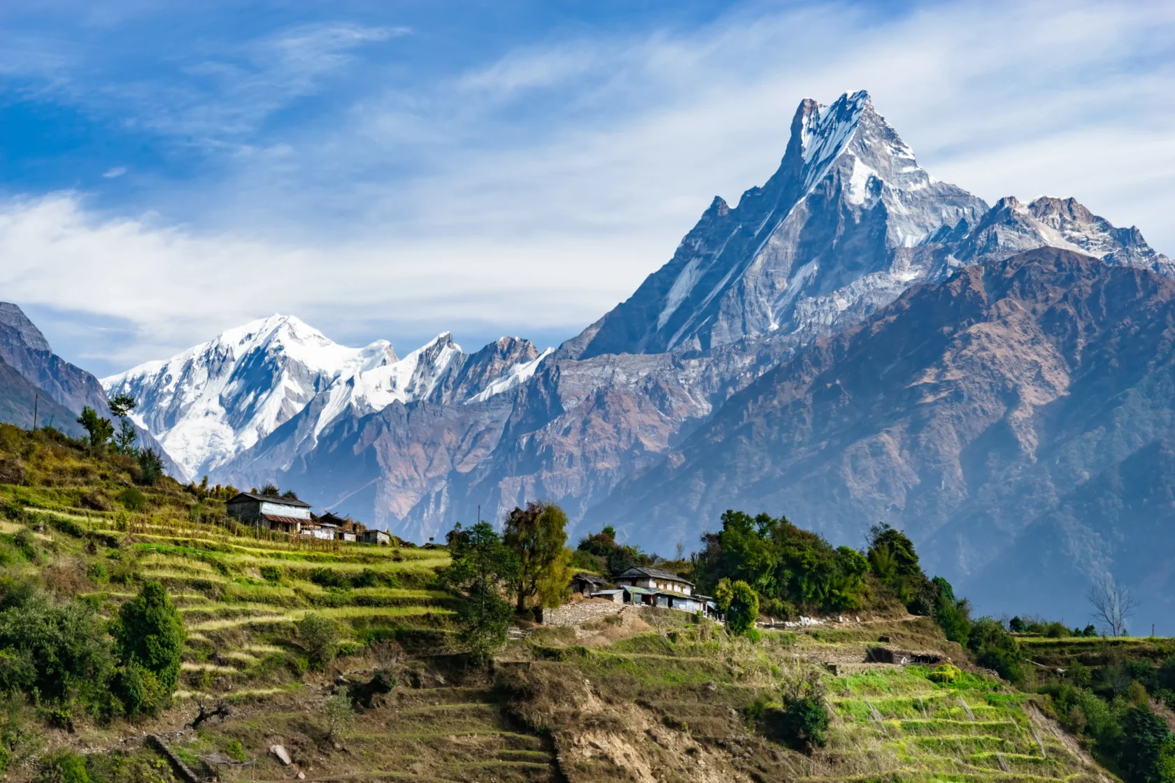 A scenic view of the Himalayas with snow-capped peaks in the background, green terraced fields, and small houses in the foreground under a blue sky with scattered clouds.