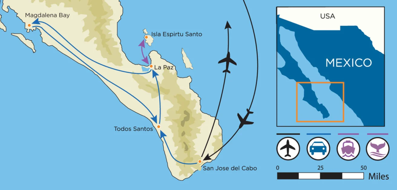 Map of Baja California Sur, Mexico, showing routes between La Paz, Isla Espiritu Santo, Magdalena Bay, Todos Santos, and San José del Cabo with icons for transportation modes.