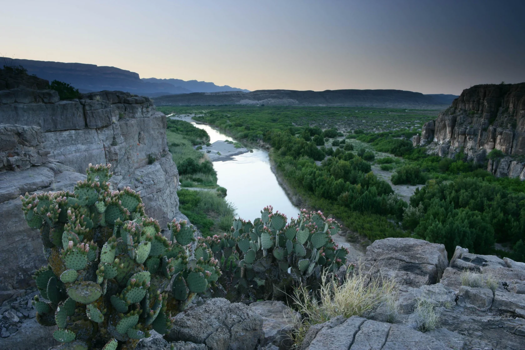 Cactus plants in the foreground overlook a river winding through a rocky canyon with distant hills under a clear sky.