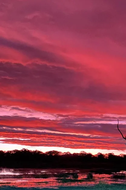 Vivid pink and orange sunset over a tranquil lake, with a silhouette of a tree and dark clouds.