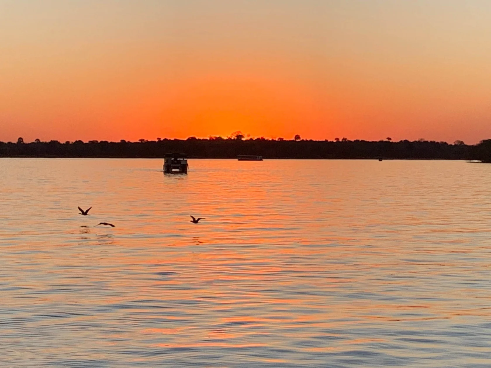 A sunset over calm water with two birds flying low and two boats in the distance, silhouetted against the orange sky.