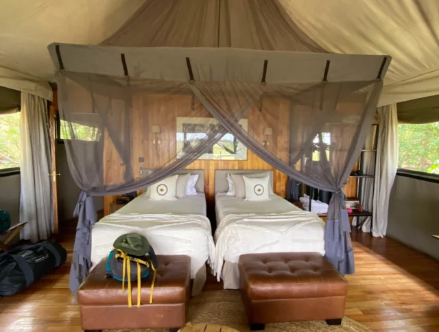 Two twin beds with mosquito nets in a safari-style tent. A leather bench sits at the foot of the beds, with travel bags on the floor. A rustic wooden trunk holds brochures.