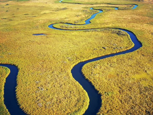 Aerial view of a winding river cutting through a vast, green grassland landscape.