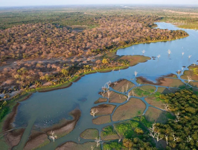 Aerial view of a wetland with winding waterways, surrounded by dense vegetation and sparse trees under a blue sky.