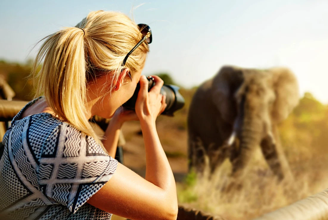 A person with a camera photographs an elephant in a natural setting.