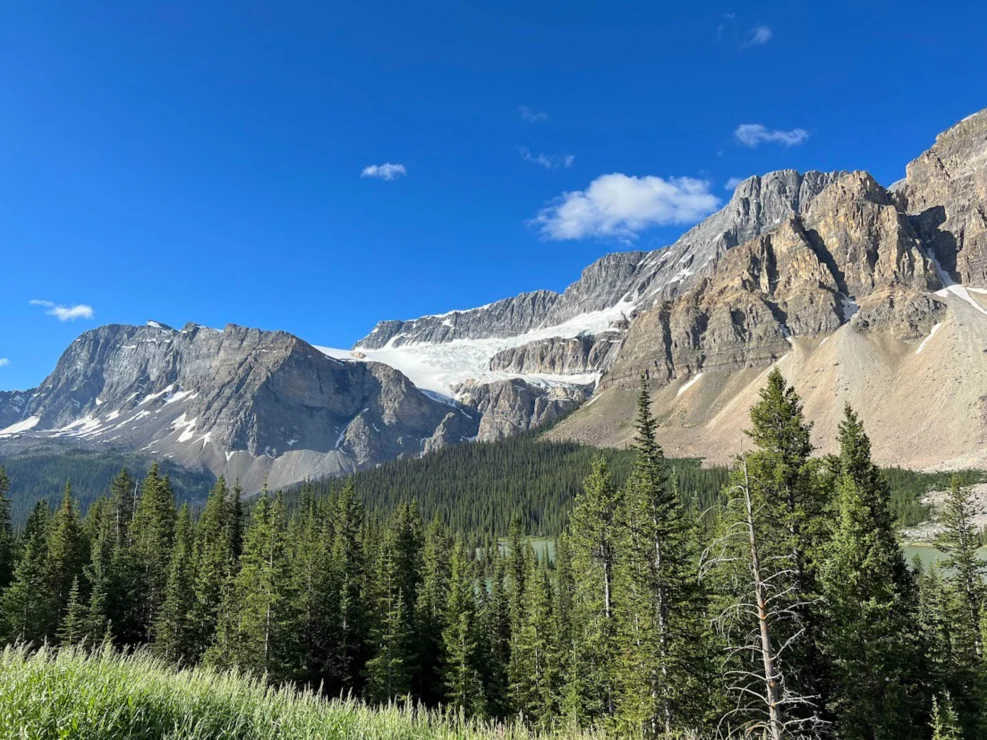 Mountain range with rocky peaks and scattered snow patches under a clear blue sky, framed by dense green pine trees in the foreground.