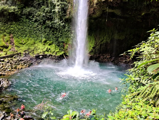 A waterfall cascades into a turquoise pool surrounded by lush greenery, with several people swimming near the base.