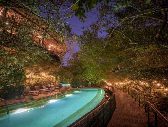 An illuminated pool at night, surrounded by lush greenery and a wooden pathway with string lights. Lounge chairs line the poolside.