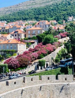 Scenic view of a hillside town with terracotta-roofed buildings, vibrant pink flowers, and lush greenery under a clear blue sky. A stone wall and roadway are visible in the foreground.