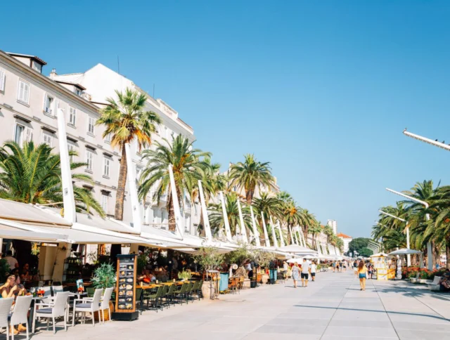 A sunny promenade lined with palm trees, outdoor café seating, and people walking.