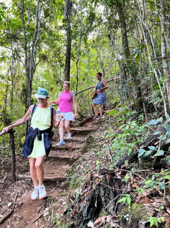 Three women navigate a forest trail with wooden steps surrounded by lush greenery.