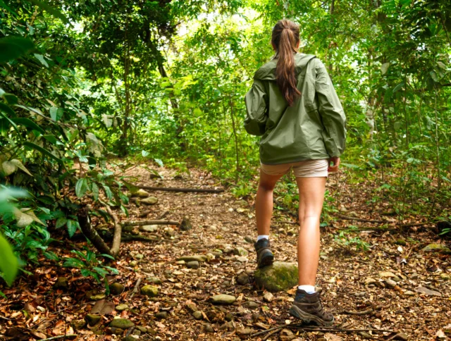 A person in a green jacket and shorts hikes on a rocky forest trail surrounded by dense foliage.