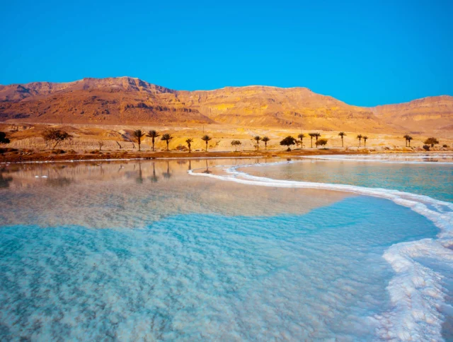 A landscape featuring a salt formation in a turquoise body of water, with distant desert hills and a row of palm trees under a clear blue sky.