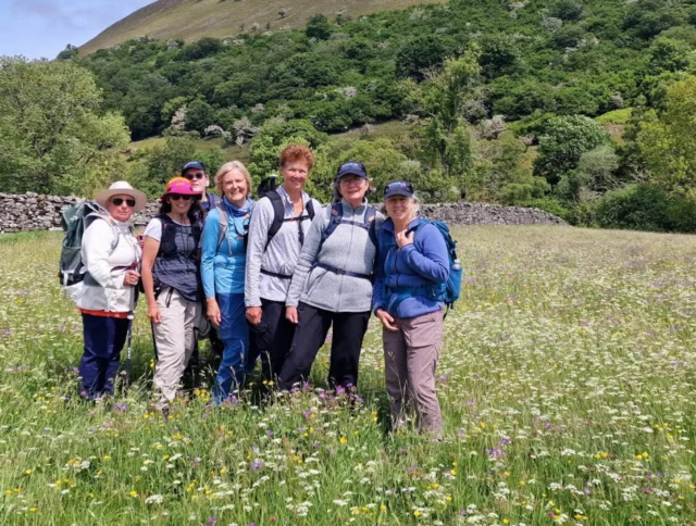 Six people stand together in a grassy field with wildflowers, wearing hats and backpacks. A stone wall and a hillside with trees are in the background.