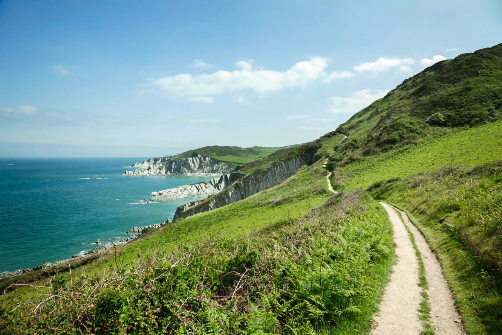 A dirt path winds along a green hillside overlooking a coastal cliff and blue ocean under a clear sky.