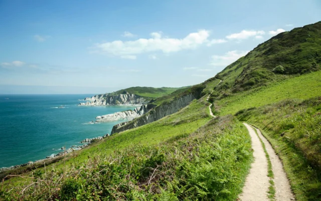 A scenic coastal path winds through green hills next to a blue ocean under a clear sky.