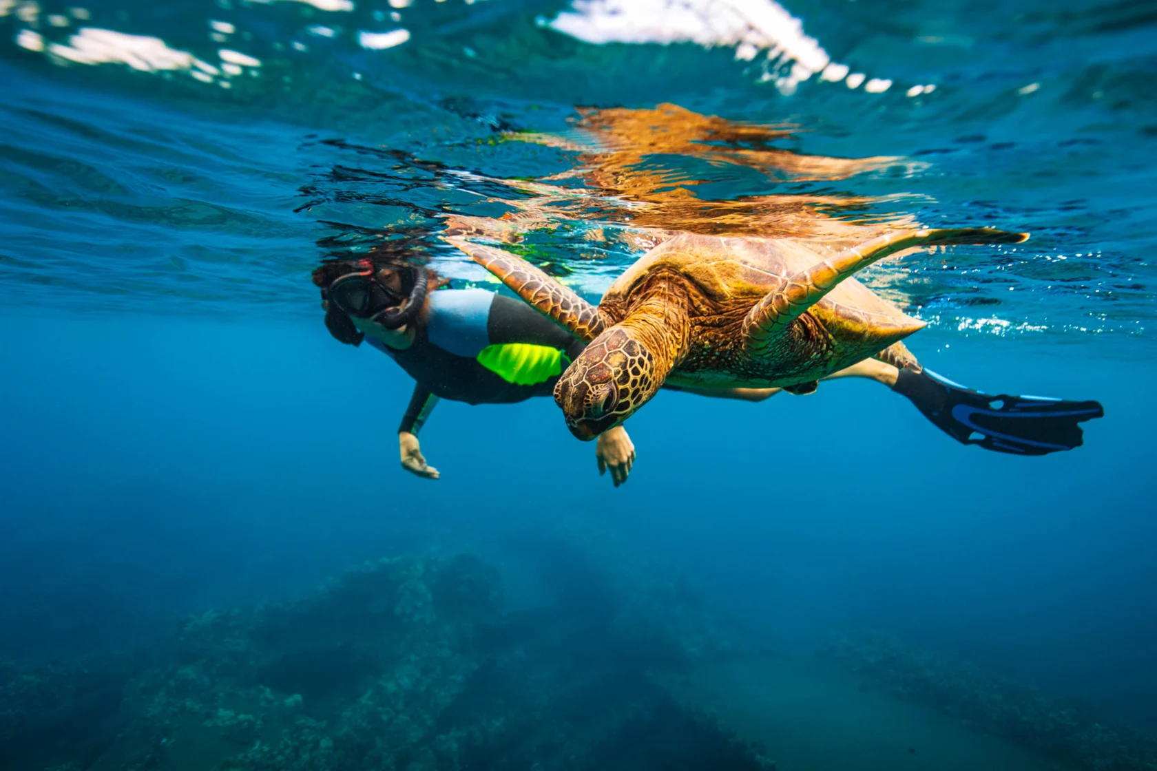 A snorkeler swims close to a sea turtle underwater in clear, blue ocean water.