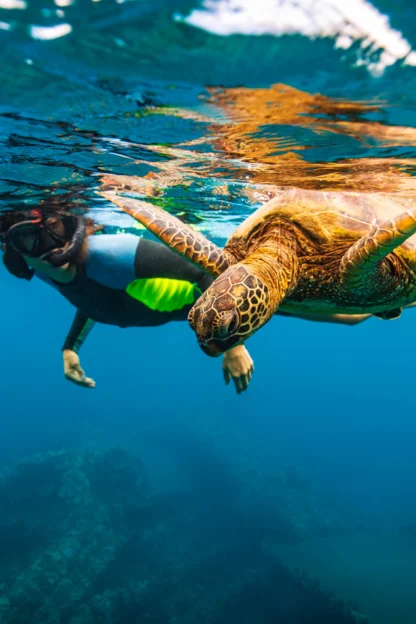 A snorkeler swims close to a sea turtle underwater in clear, blue ocean water.