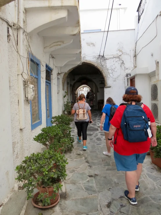 People walking down a narrow, stone-paved alley lined with potted plants and white buildings.