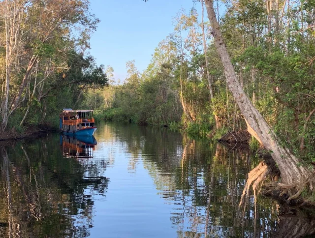 Boat on a calm river surrounded by dense green trees under a clear blue sky.