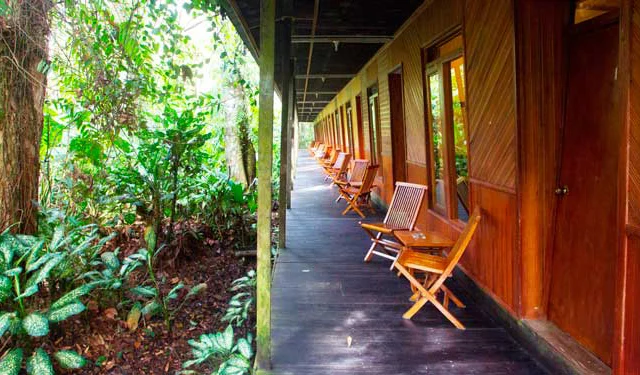 Long wooden veranda with chairs lines the side of a cabin, overlooking dense green foliage and trees.