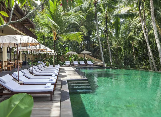 Poolside area with lounge chairs and umbrellas nestled in a lush tropical setting. Nearby, a wooden structure provides additional seating and tables.