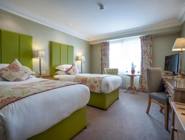 Hotel room with two twin beds, green headboards, lamps on each side, a small table with a plant, a desk with a chair, and a TV. Beige carpet and a window with curtains.