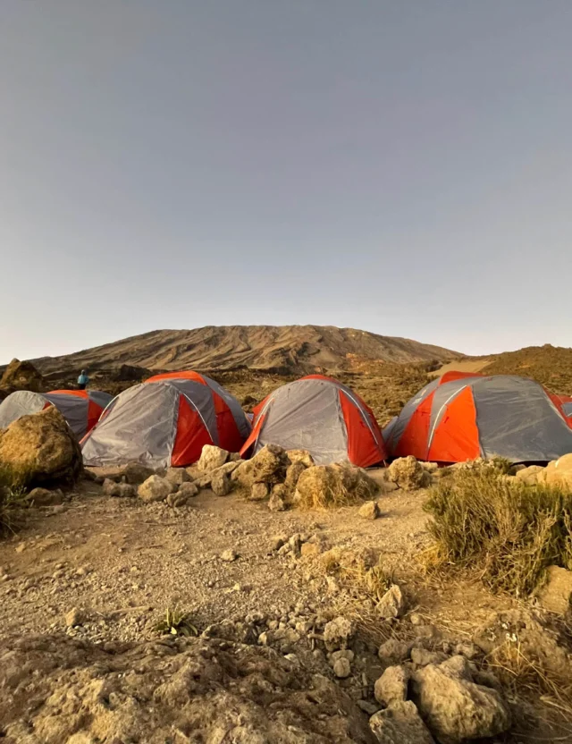 A row of red and grey tents sit on rocky ground with a mountain in the background under a clear sky.