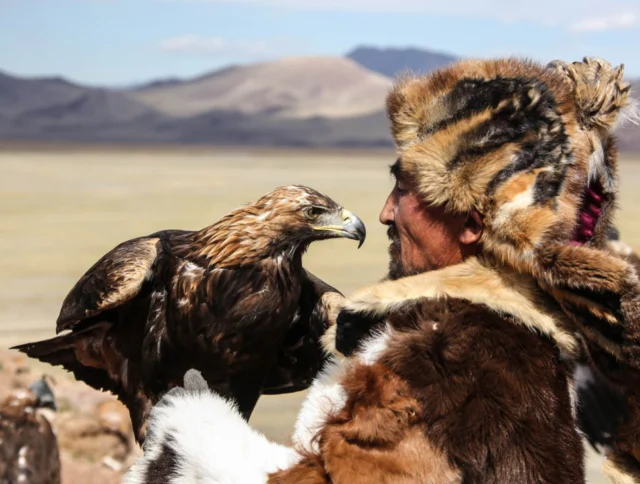 A person in fur clothing holds a golden eagle, with mountains in the background.