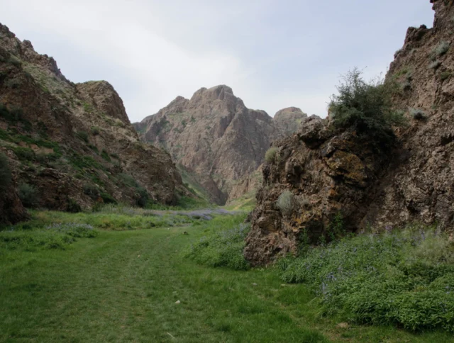 A narrow mountain valley with green grass and rocky cliffs under a clear blue sky.