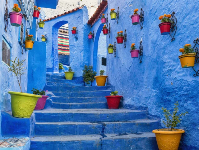 A narrow, blue-painted alleyway with colorful flower pots hanging on the walls and placed along the steps.