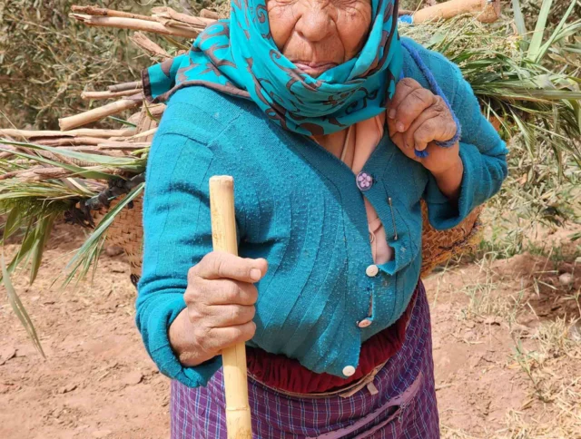 An elderly woman in a turquoise headscarf carries branches on her back, holding a wooden stick. She stands outdoors against a backdrop of trees.